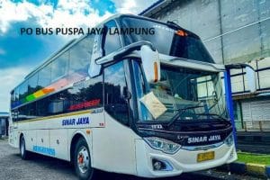 harga tiket bus Sinar Jaya Hari Ini dari Lampung