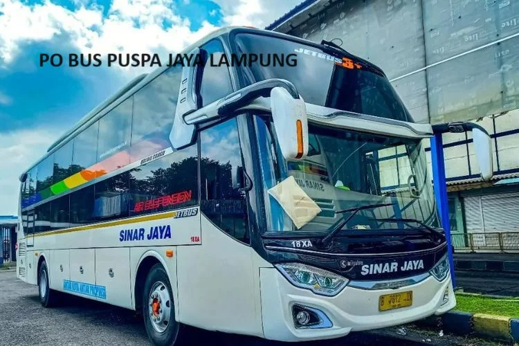 PO Bus Sinar Jaya Lampung