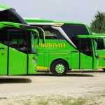 Sewa Bus Puspa Jaya Lampung