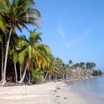 Paket 3 Hari 2 Malam Pulau Pahawang Private Trip Bagi Anda yang ingin lebih banyak waktu menikmati keindahan Pulau Pahawang dan destinasi lainnya, Paket 3 Hari 2 Malam Private Trip bisa menjadi pilihan terbaik. Dengan paket ini, Anda dapat lebih leluasa mengeksplorasi pulau-pulau sekitar dan spot snorkeling yang terkenal, serta menikmati pengalaman menginap yang nyaman di homestay atau villa yang telah disediakan. Harga Pakai Homestay Non AC Pulau Pahawang 3D2N 1 orang = Rp 4.500.000 2 orang = Rp 2.540.000/orang 3 orang = Rp 1.900.000/orang 4 orang = Rp 1.400.000/orang 5 orang = Rp 1.160.000/orang 6 orang = Rp 970.000/orang 7 orang = Rp 865.000/orang 8 orang = Rp 770.000/orang 9 orang = Rp 710.000/orang 10 orang = Rp 660.000/orang Harga Pakai Villa Darat AC Pulau Pahawang 3D2N 1 orang = Rp 5.100.000 2 orang = Rp 2.900.000/orang 3 orang = Rp 2.240.000/orang 4 orang = Rp 1.740.000/orang 5 orang = Rp 1.450.000/orang 6 orang = Rp 1.290.000/orang 7 orang = Rp 1.160.000/orang 8 orang = Rp 1.050.000/orang 9 orang = Rp 980.000/orang 10 orang = Rp 920.000/orang Harga Pakai Villa Laut Resort Andreas Pulau Pahawang 3D2N 1 orang = Rp 6.800.000 2 orang = Rp 3.500.000/orang 3 orang = Rp 2.800.000/orang 4 orang = Rp 2.400.000/orang 5 orang = Rp 2.100.000/orang 6 orang = Rp 1.900.000/orang 7 orang = Rp 1.750.000/orang 8 orang = Rp 1.600.000/orang 9 orang = Rp 1.500.000/orang 10 orang = Rp 1.420.000/orang Include Fasilitas 3 Hari 2 Malam Pulau Pahawang: Penginapan sesuai pilihan Makan 6 kali selama di pulau Kapal tour selama trip Guide pemandu wisata Alat snorkeling (masker, pelampung) Dokumentasi underwater & upwater Tiket masuk semua pulau dan spot snorkeling Air mineral kemasan Destinasi Tujuan Paket 3 Hari 2 Malam Tour Pulau Pahawang: Pulau Pahawang Besar Pulau Pahawang Kecil Pulau Kelagian Besar Pulau Kelagian Kecil Pasir Timbul Pahawang Spot Snorkeling Taman Nemo Spot Snorkeling Cukuh Bedil Spot Snorkeling Gosong Bekri Itinerary Tour 3 Hari 2 Malam Pulau Pahawang Hari 1 08:00 – Tiba di Dermaga Ketapang, briefing 09:00 – Menuju Pulau Kelagian Besar, eksplorasi 11:00 – Menuju Pulau Kelagian Kecil, makan siang 14:00 – Snorkeling di Taman Nemo dan Cukuh Bedil 17:00 – Check-in penginapan dan makan malam Hari 2 07:00 – Sarapan 08:00 – Menuju Pasir Timbul Pahawang, eksplorasi 10:00 – Snorkeling di Spot Gosong Bekri 13:00 – Makan siang di Pulau Pahawang Besar 15:00 – Menikmati waktu bebas di pantai Hari 3 07:00 – Sarapan 09:00 – Kembali ke Dermaga Ketapang 11:00 – Trip selesai Dengan berbagai pilihan paket wisata yang disesuaikan dengan kebutuhan, baik itu perjalanan singkat satu hari atau menginap hingga tiga hari, wisata ke Pulau Pahawang menawarkan pengalaman yang tak terlupakan. Keindahan alam bawah laut, pantai yang mempesona, dan suasana yang tenang menjadikan Pulau Pahawang sebagai destinasi wajib bagi para pecinta alam dan penggemar aktivitas snorkeling. Jangan lewatkan kesempatan untuk menikmati keindahan Pulau Pahawang bersama teman, keluarga, atau rekan kerja. Pilih paket yang sesuai dengan kebutuhan Anda dan nikmati liburan seru di Pulau Pahawang, Lampung!