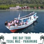Paket pahawang 1 hari