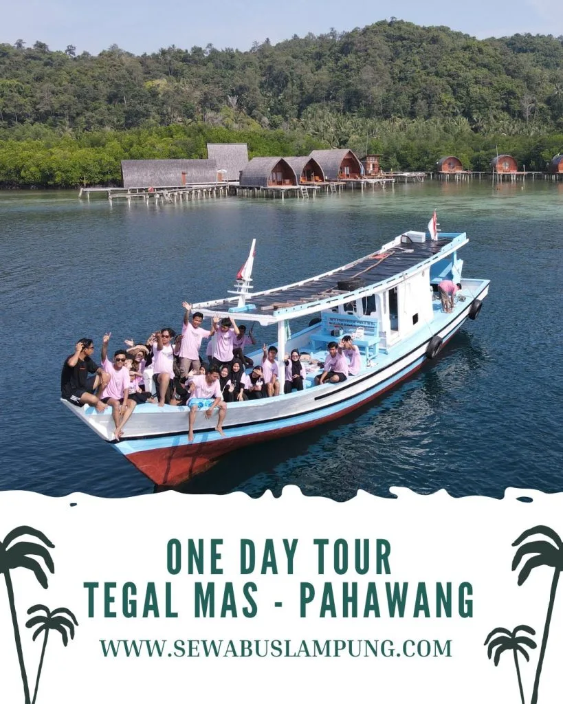 Paket pahawang 1 hari