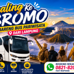 Sewa Bus lampung ke bromo