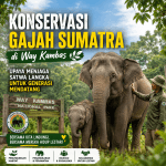 Konservasi Gajah Sumatra di Way Kambas, Upaya Menjaga Satwa Langka untuk Generasi Mendatang